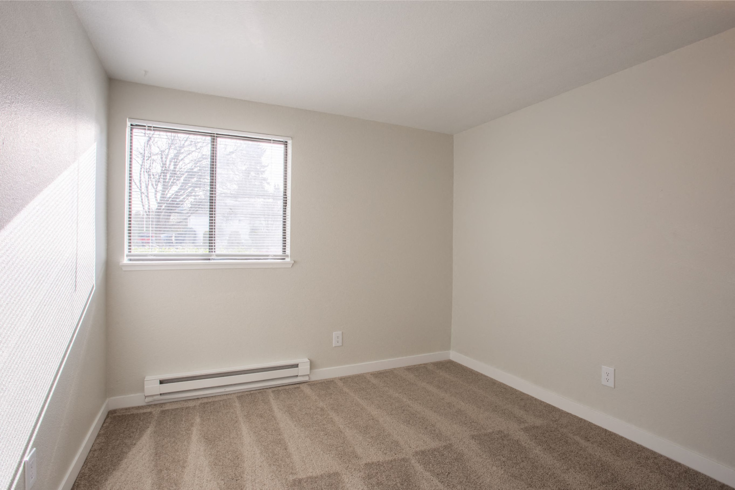 One24 Image 16