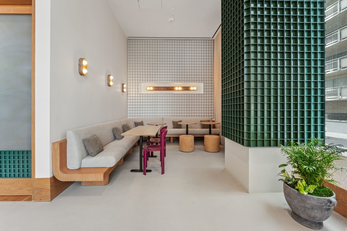 The Zoe Image 13