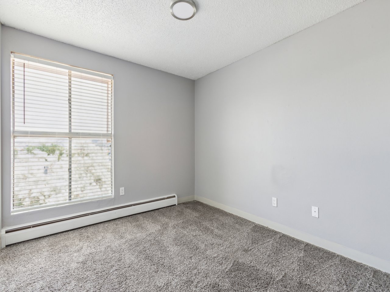 Chestnut Springs Apartments Image 20