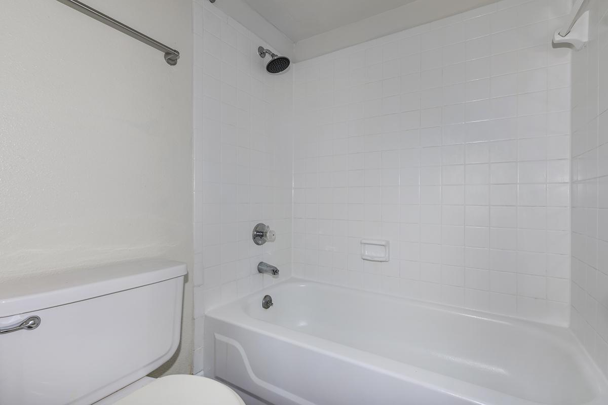 Sawgrass Image 71