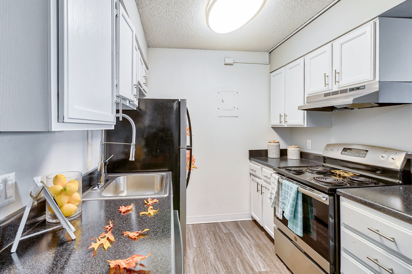 Miramar Apartments Image 7