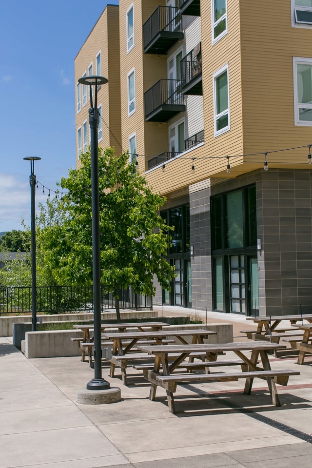 Jesse Quinn Apartments Image 9