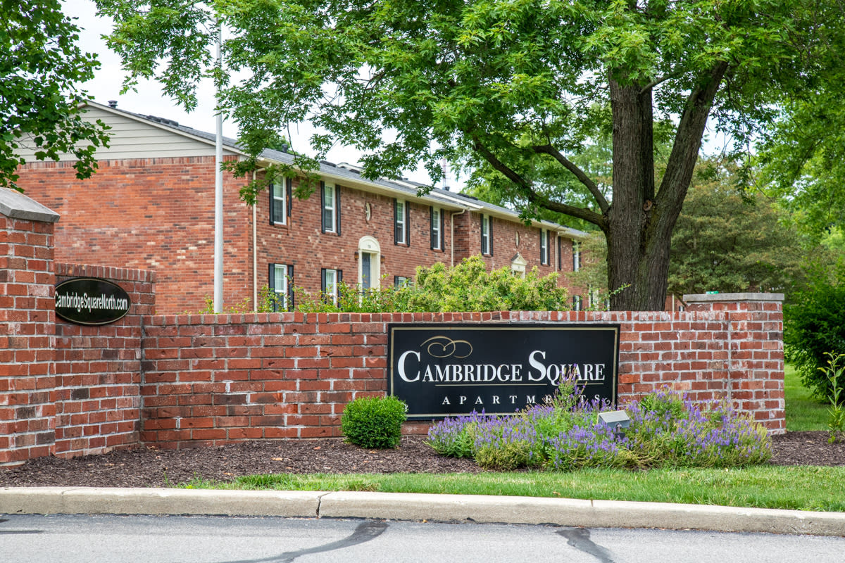 Cambridge Square North Image 1