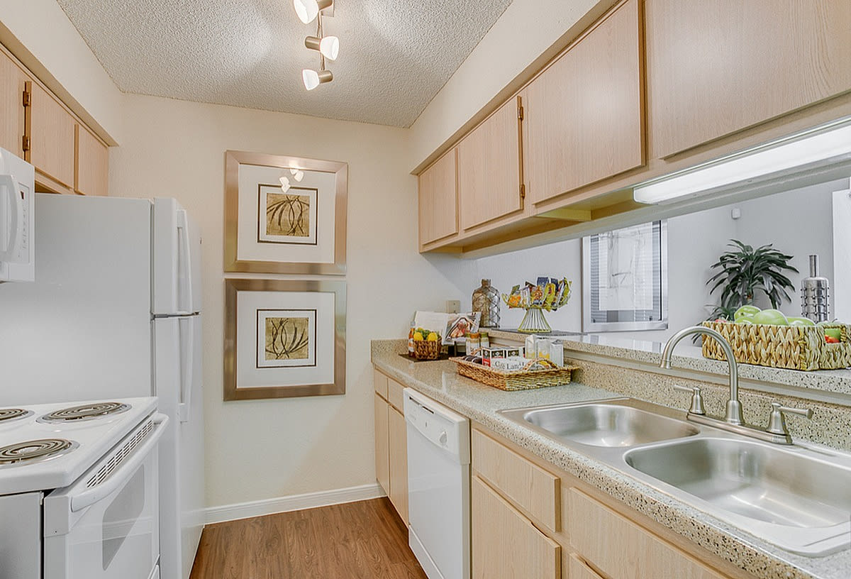 Regatta Apartments Image 13