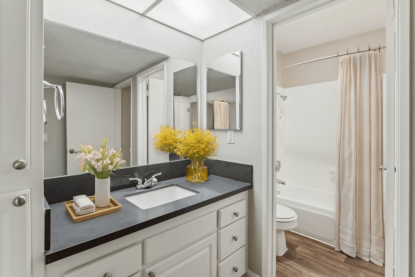 Monte Vista Apartment Homes Image 5