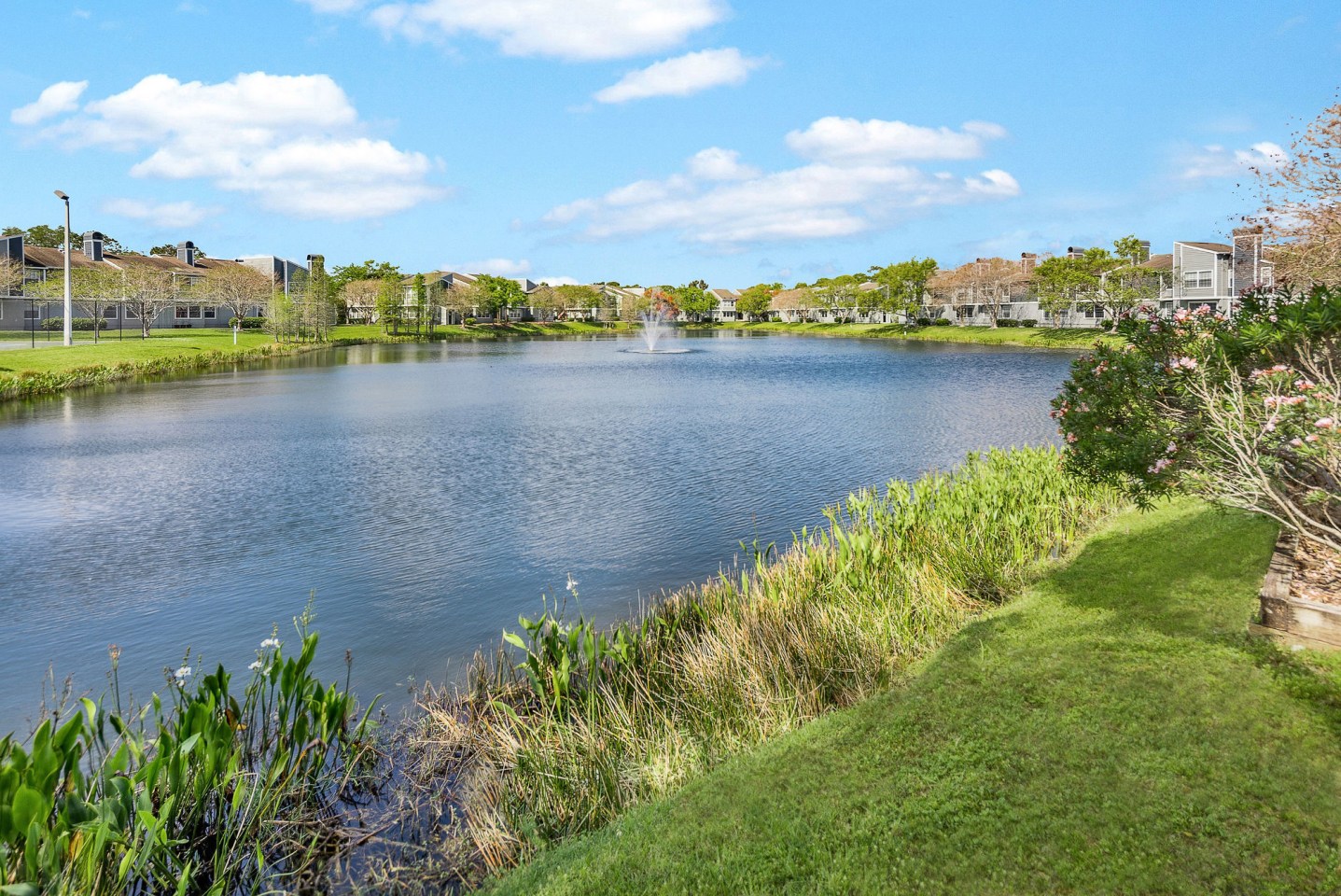Ashford at Feather Sound Image 7