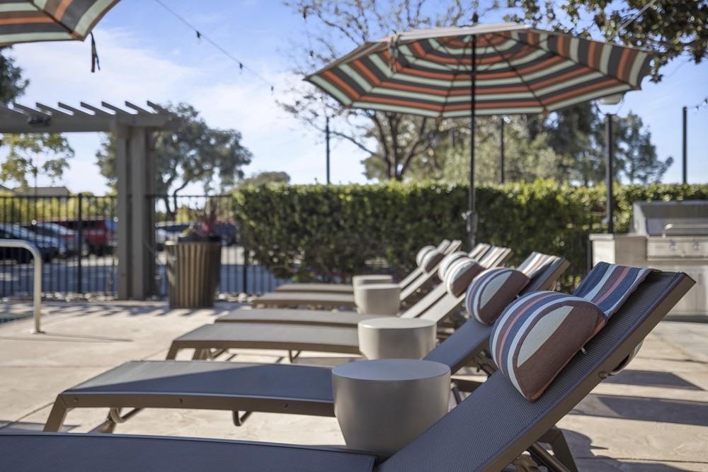 View at Marin Apartments Image 37