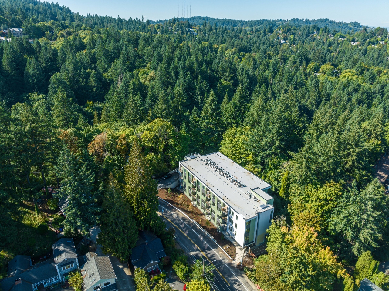 The Woods on Marquam Hill Image 2