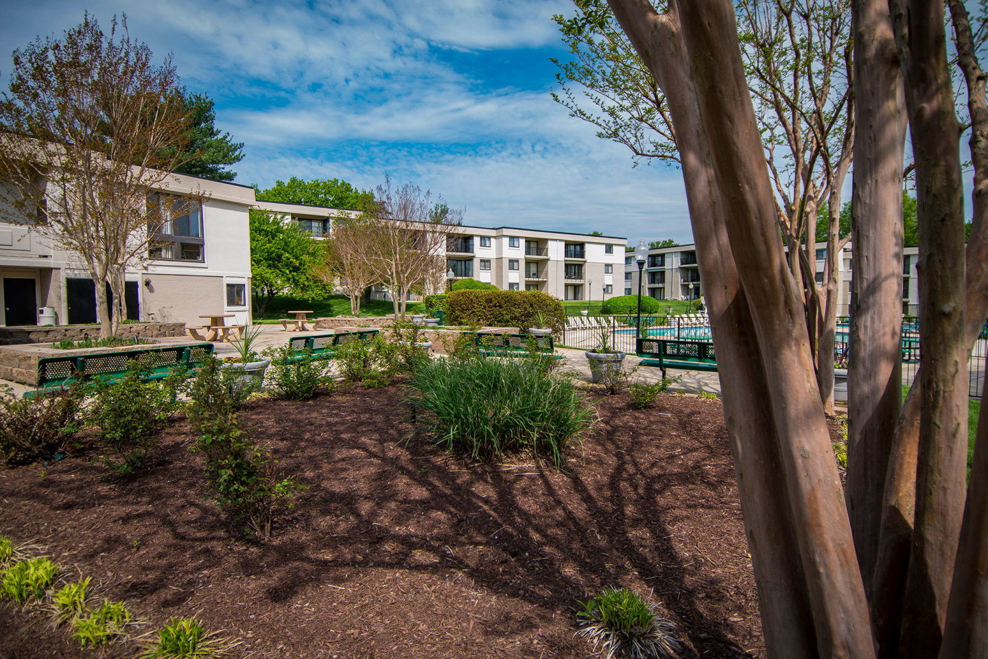 Ashley Apartments Image 25