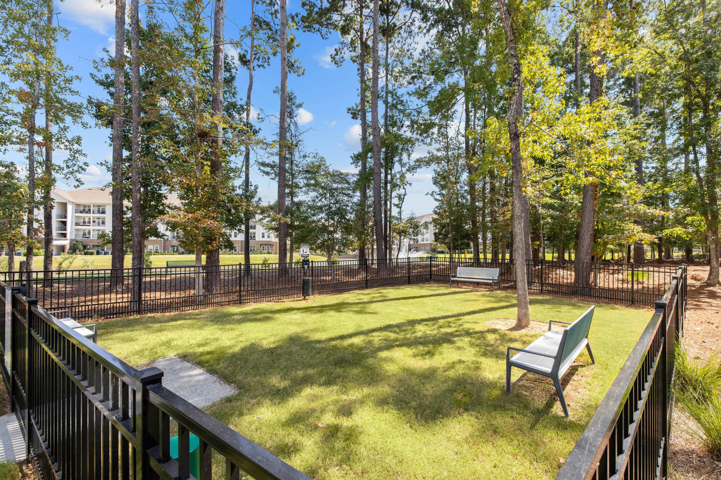 Active Adult 55+ - Restore at Carolina Park Image 17