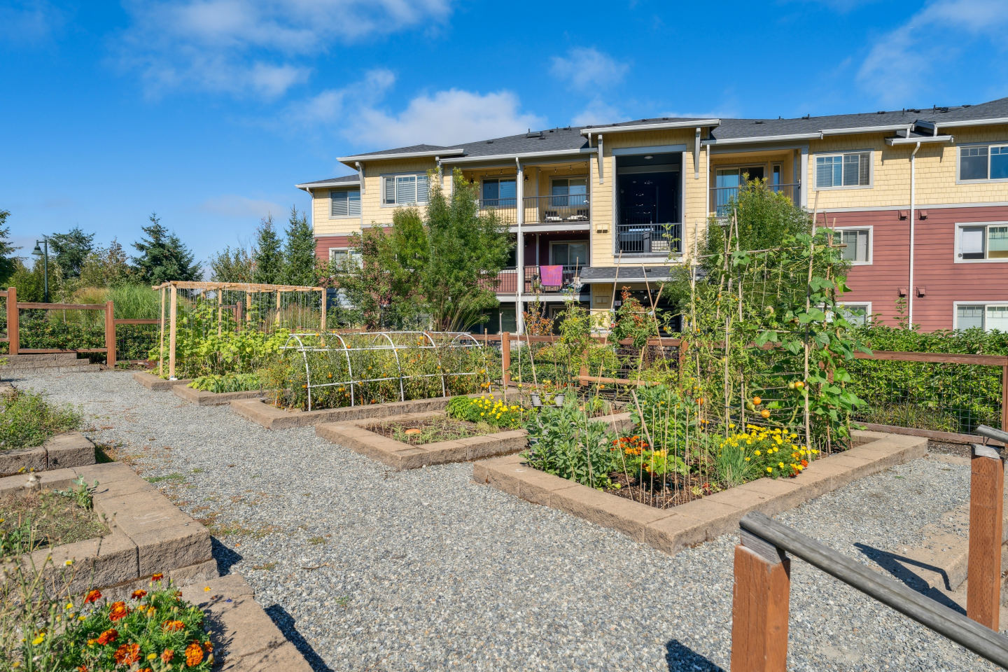 Vue Issaquah Image 51