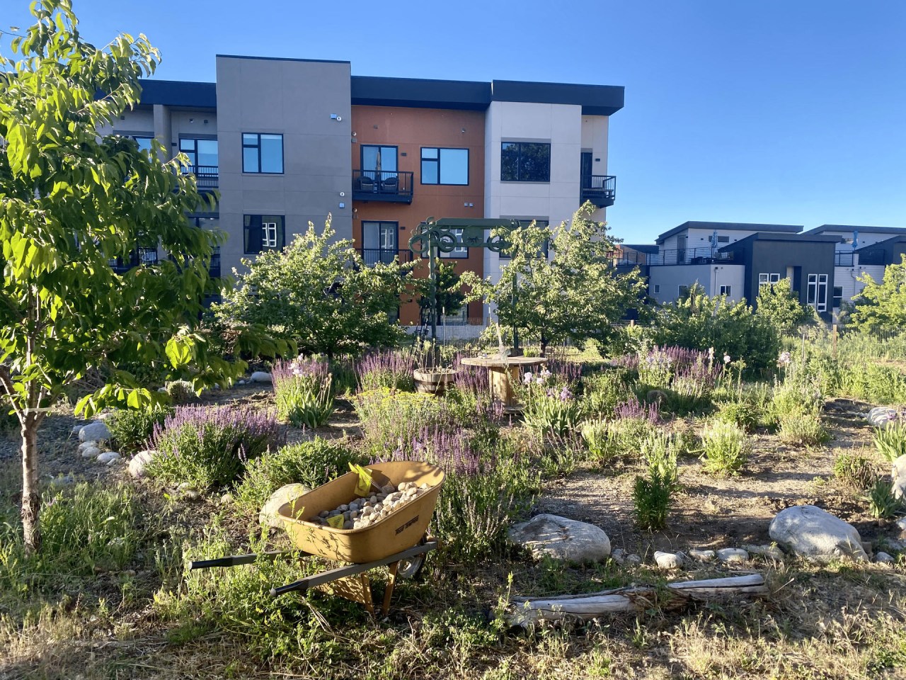 Enso Zen Apartments Image 25