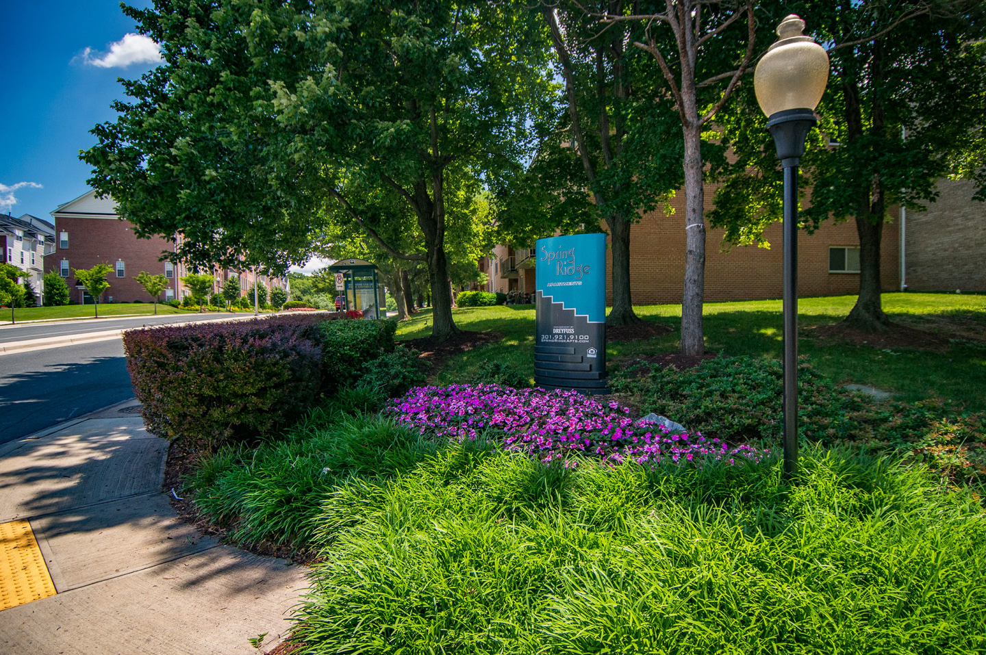 Spring Ridge Apartments Image 6
