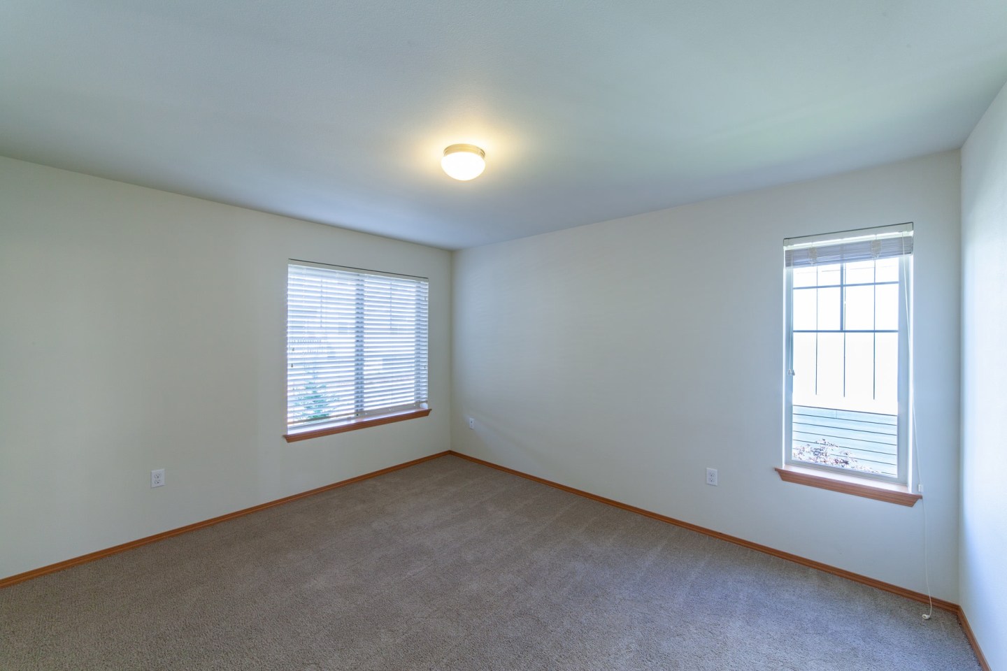 Renwood Image 34