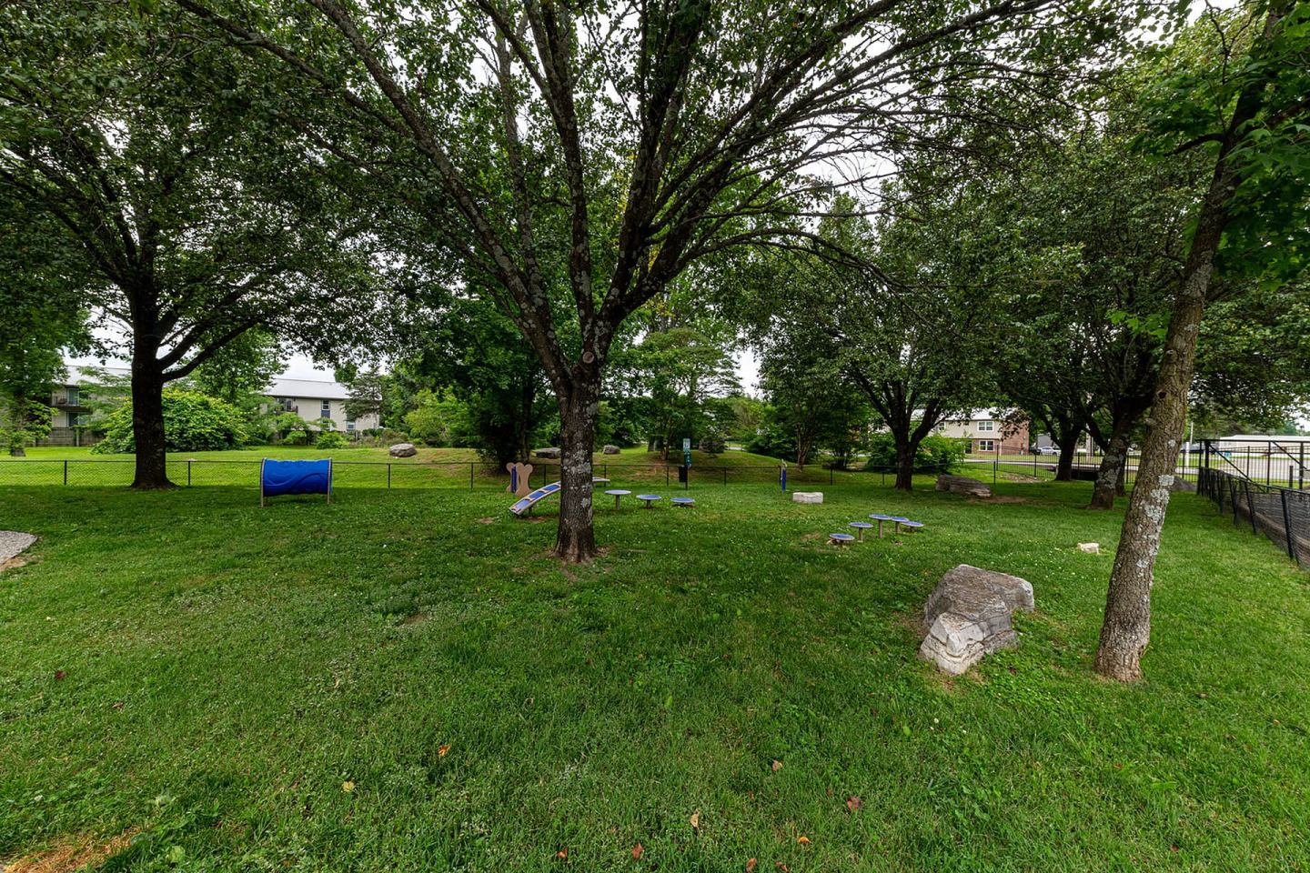 Southern Image 1