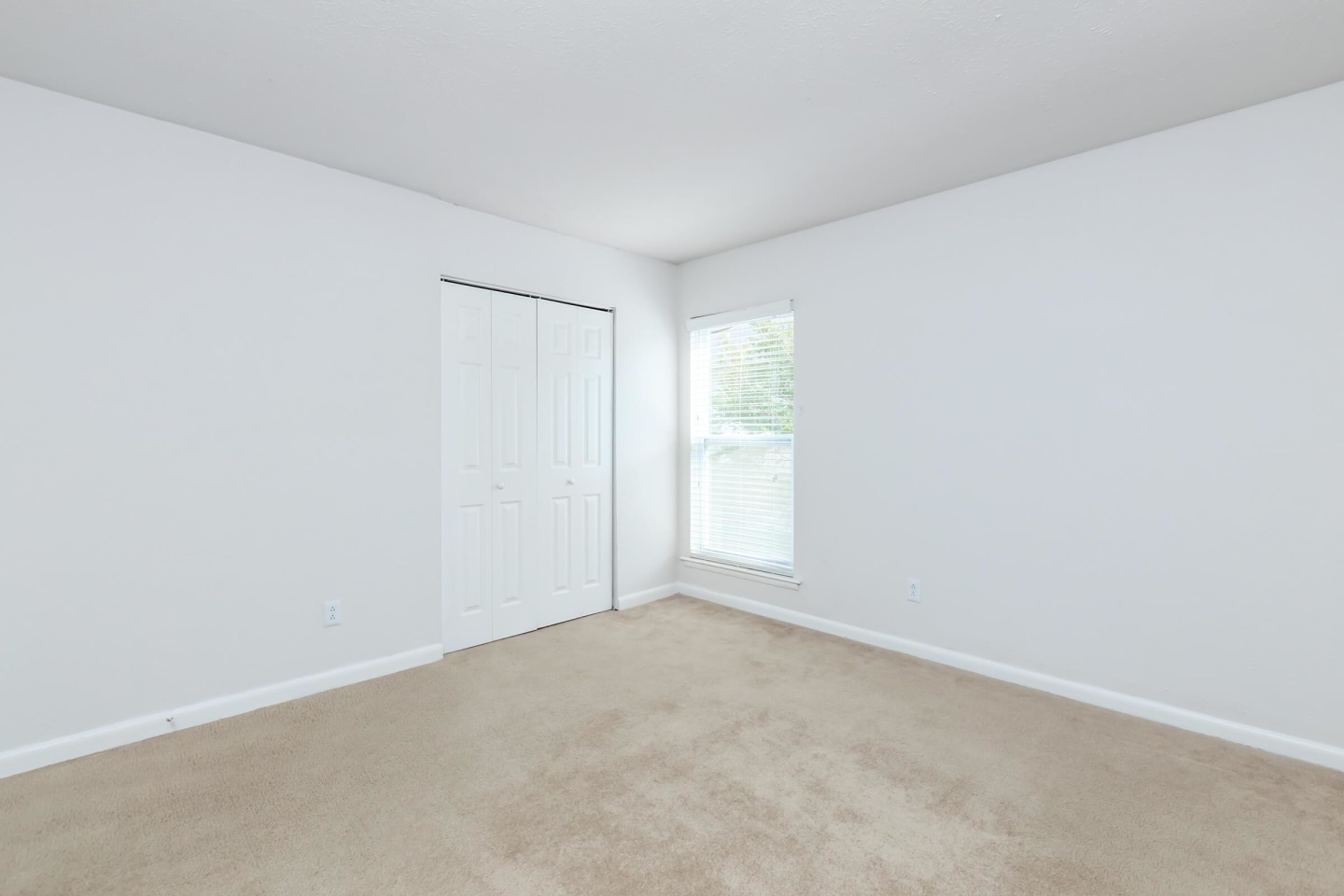 Chase Cove Image 41
