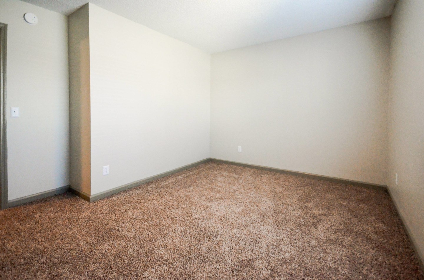 Southern Image 36