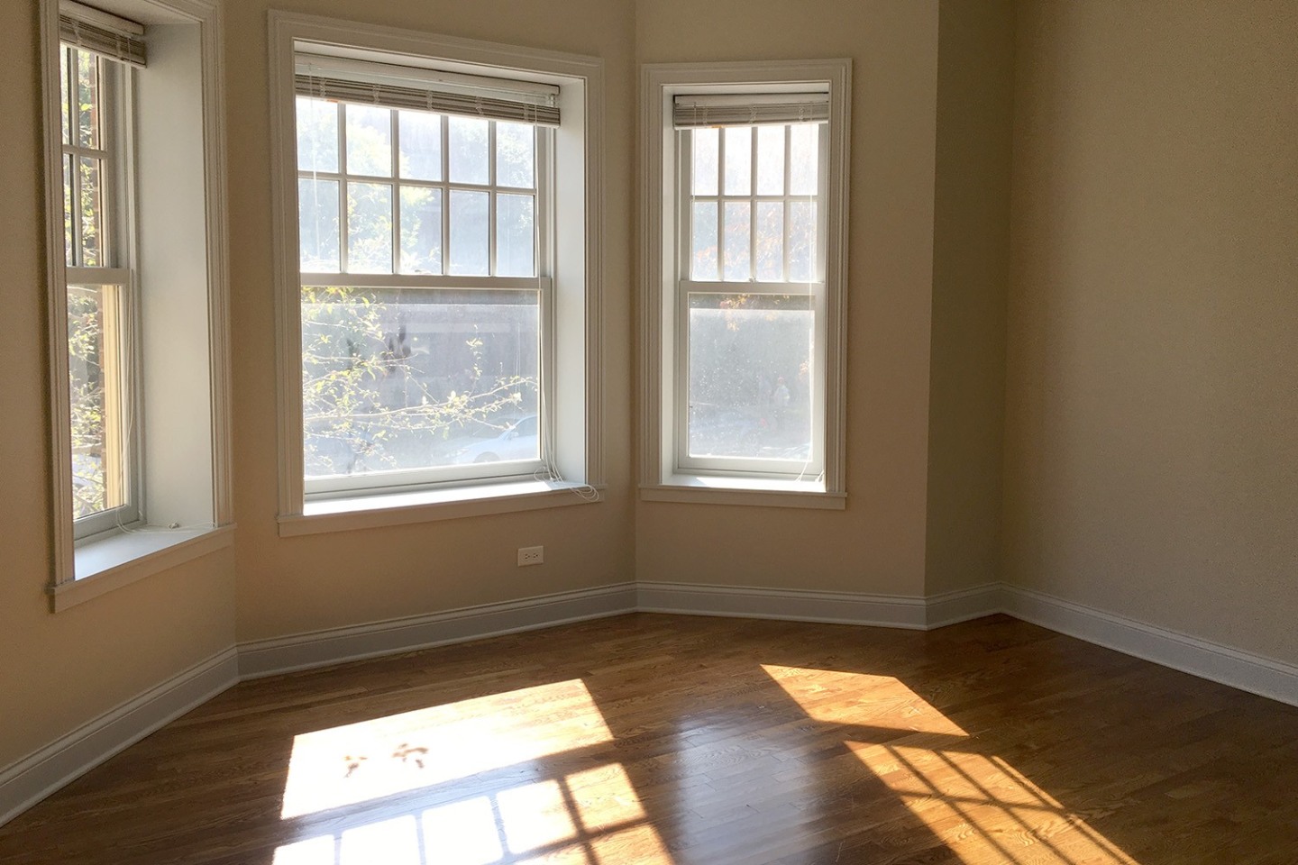 5100 S. Ellis Avenue Image 17
