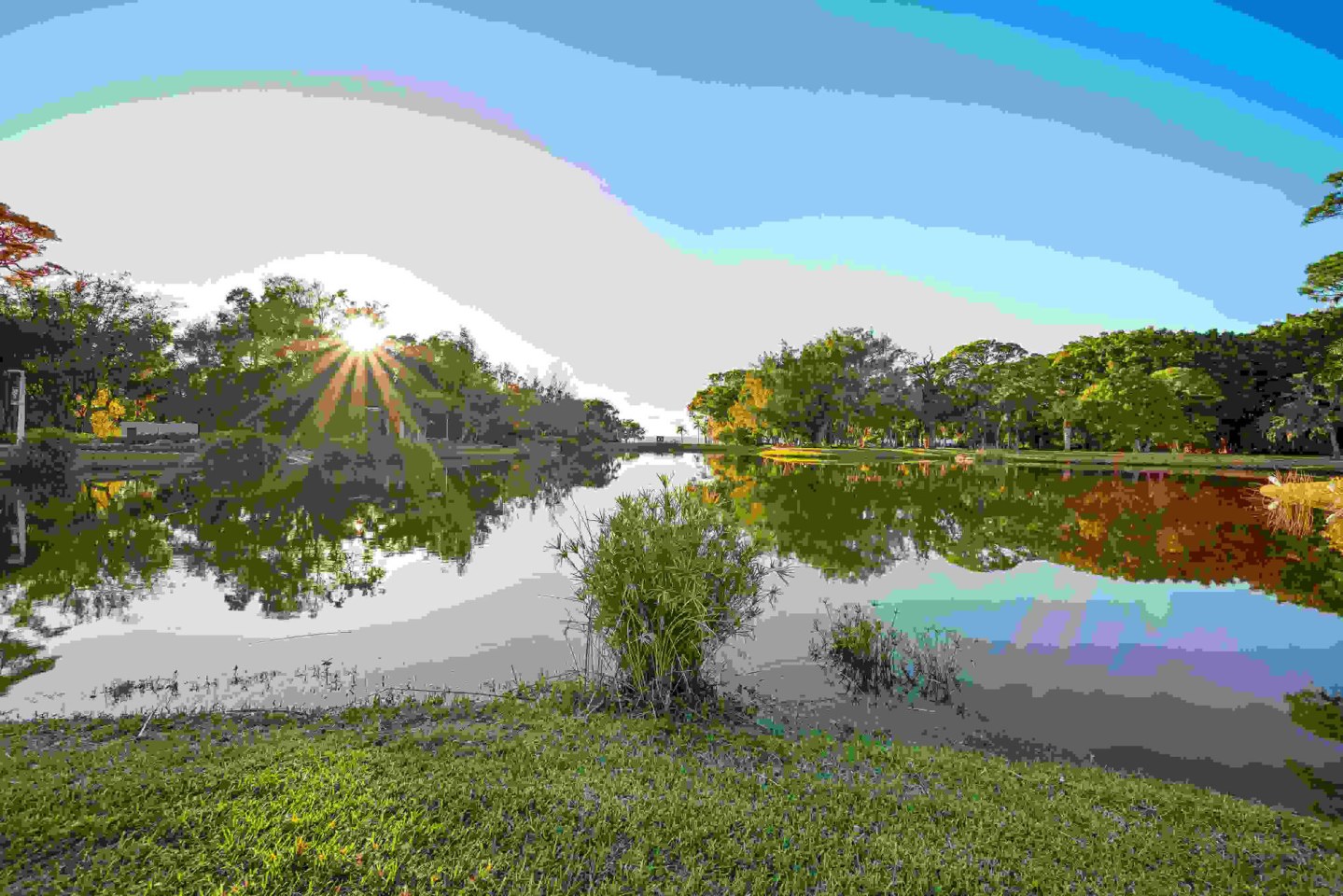 Cordelia Image 3