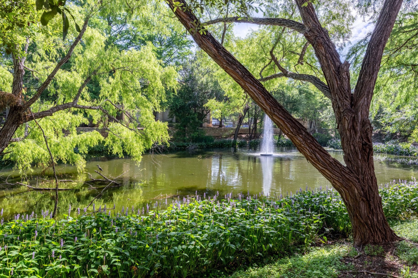 Gables Town Lake Image 28