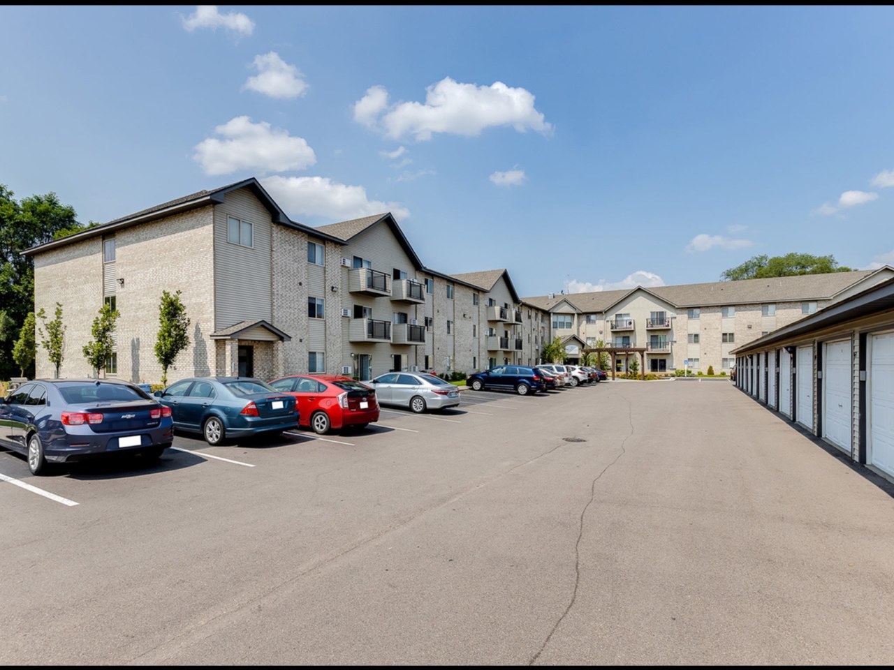 White Pines Image 47