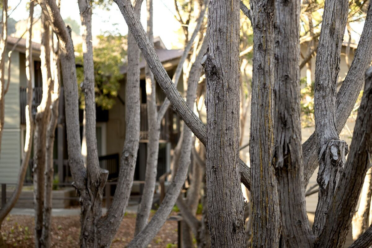 Crystal Springs Terrace Image 15