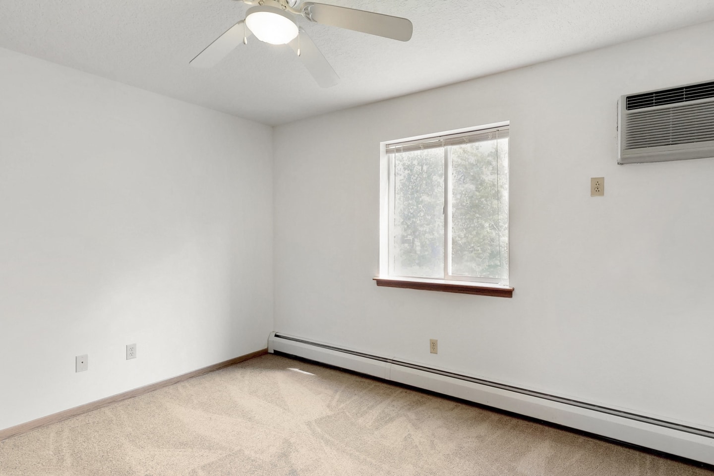 Ashford Apartments Image 29