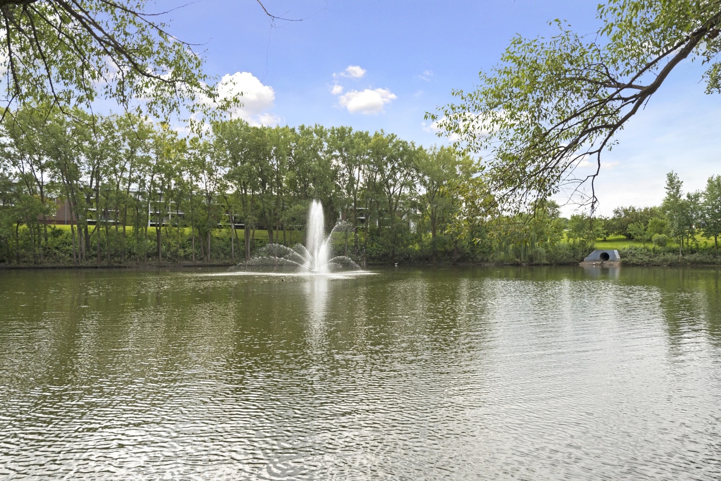 Willow Pond Image 25