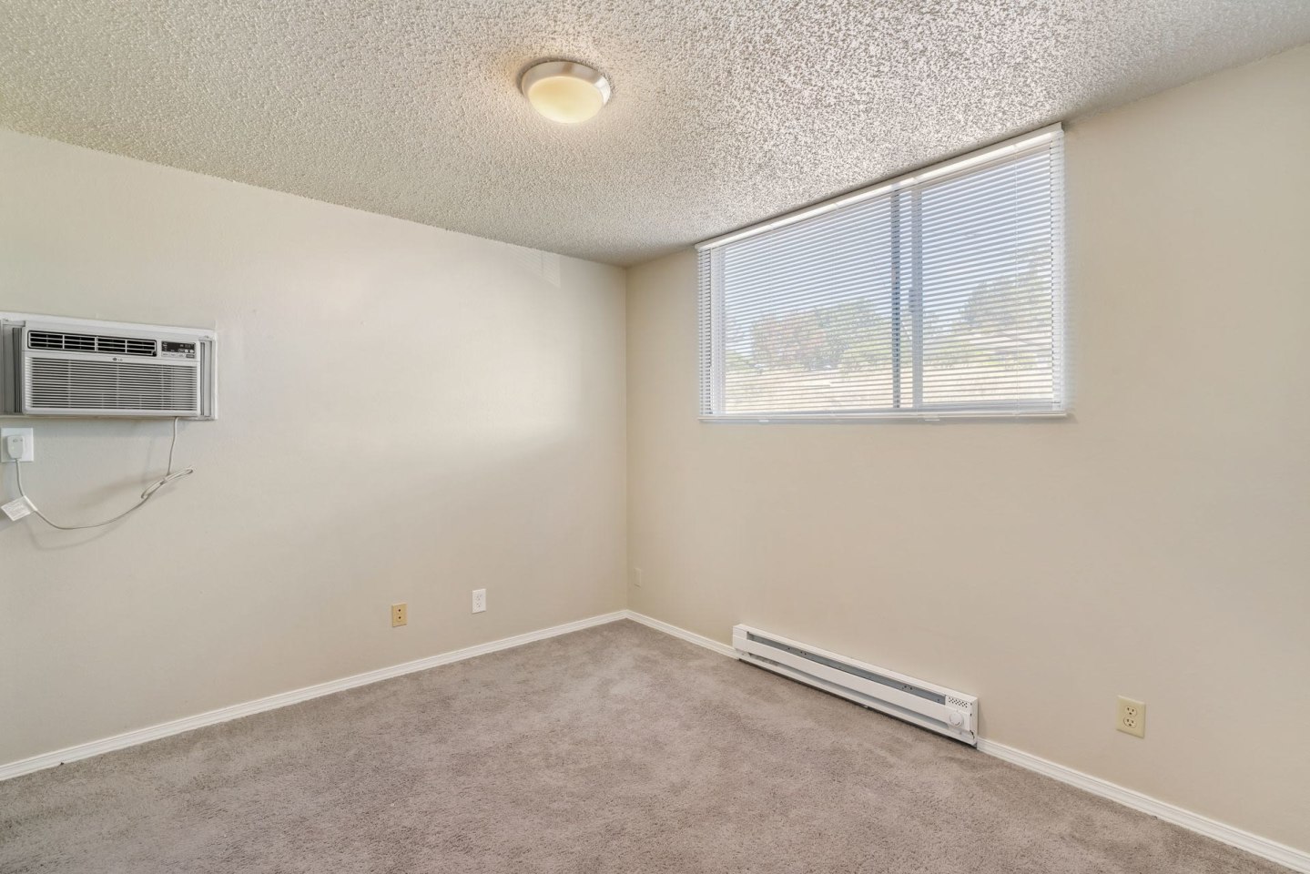 Dolphin Apartments Image 17