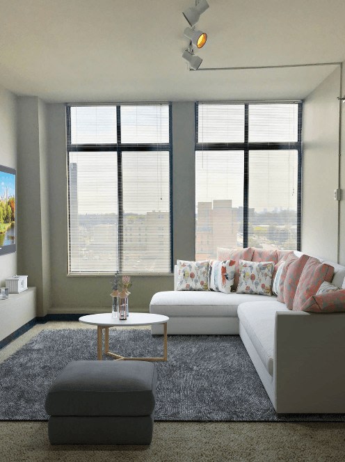 Delmar Loop Image 15