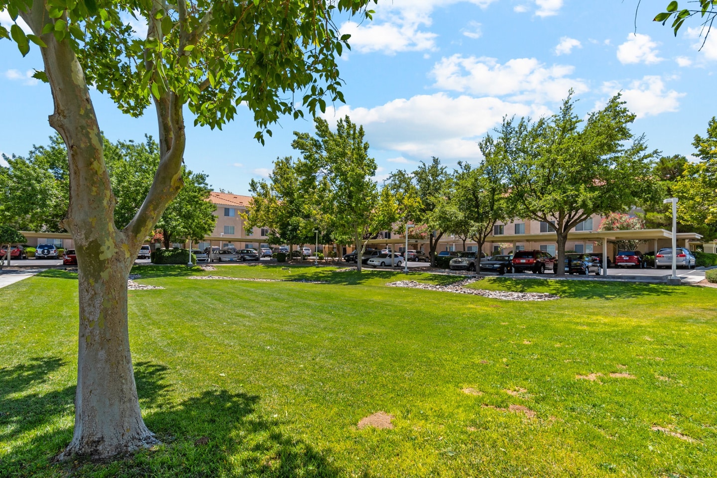 Somerset Village Image 30