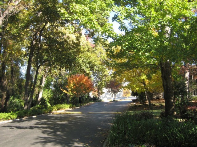 Granby Oaks Image 23