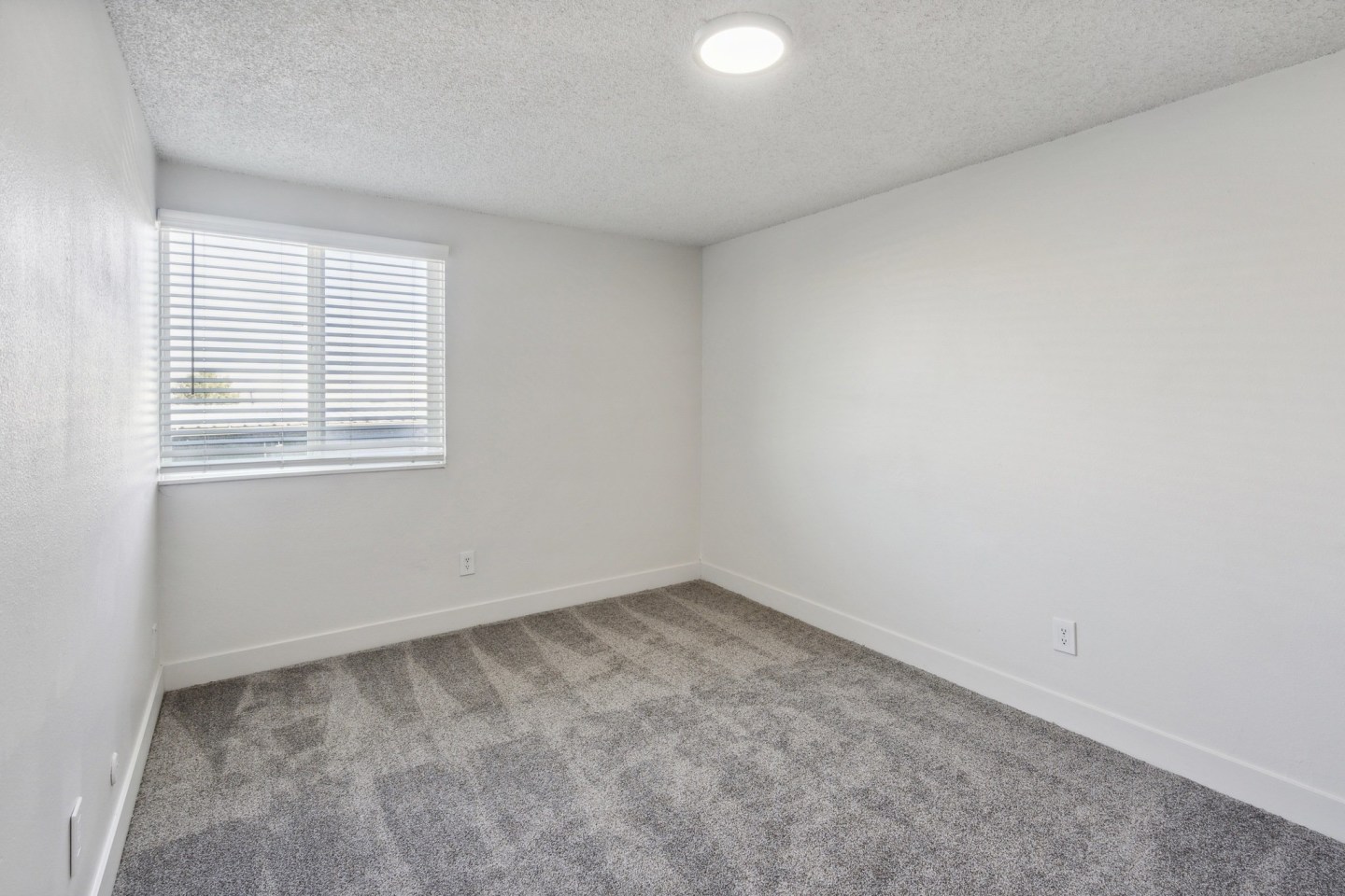 Park Station Apartments Image 11