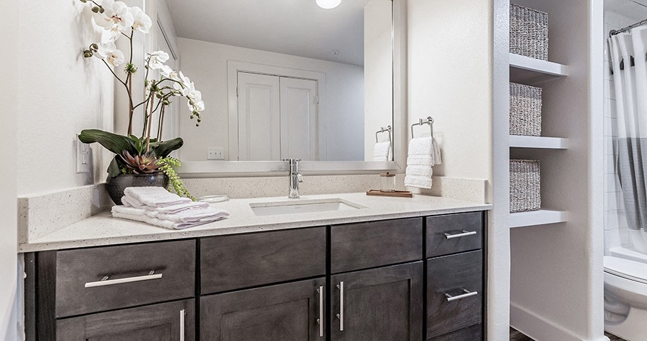 Parkside at Craig Ranch Apartment Image 9