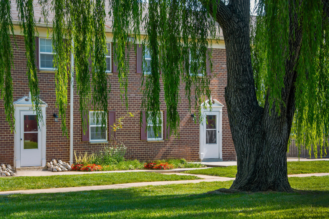 Deertree Image 10