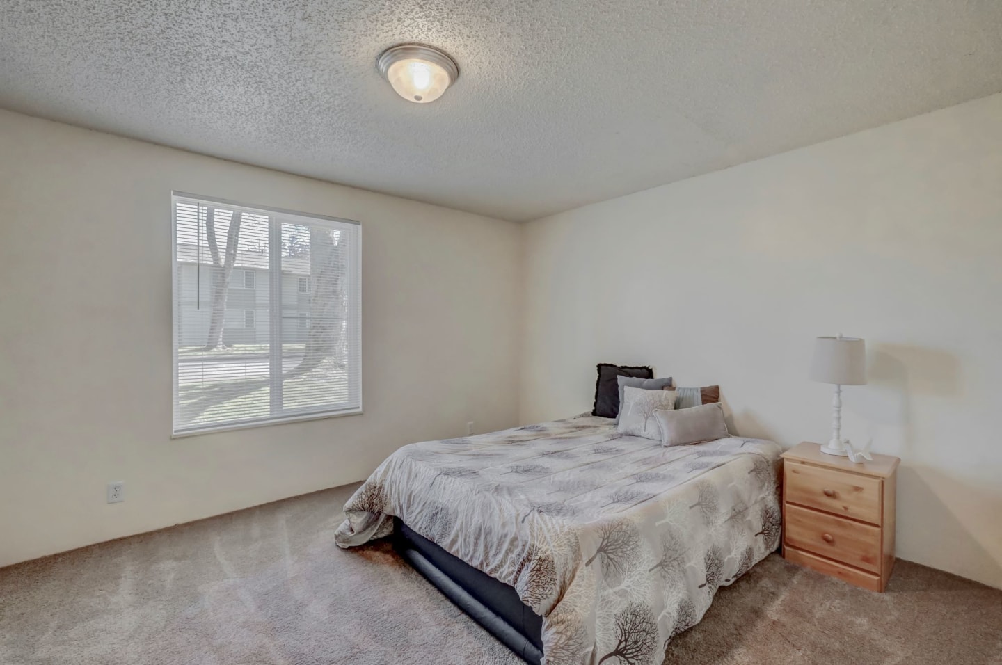 Sequoia Apartments Image 18
