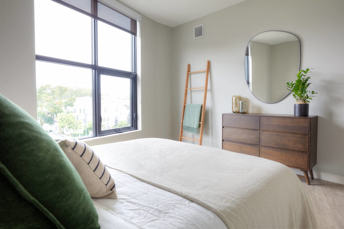 South Standard Image 7