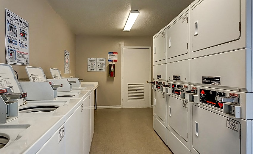 Pine Winds Image 15