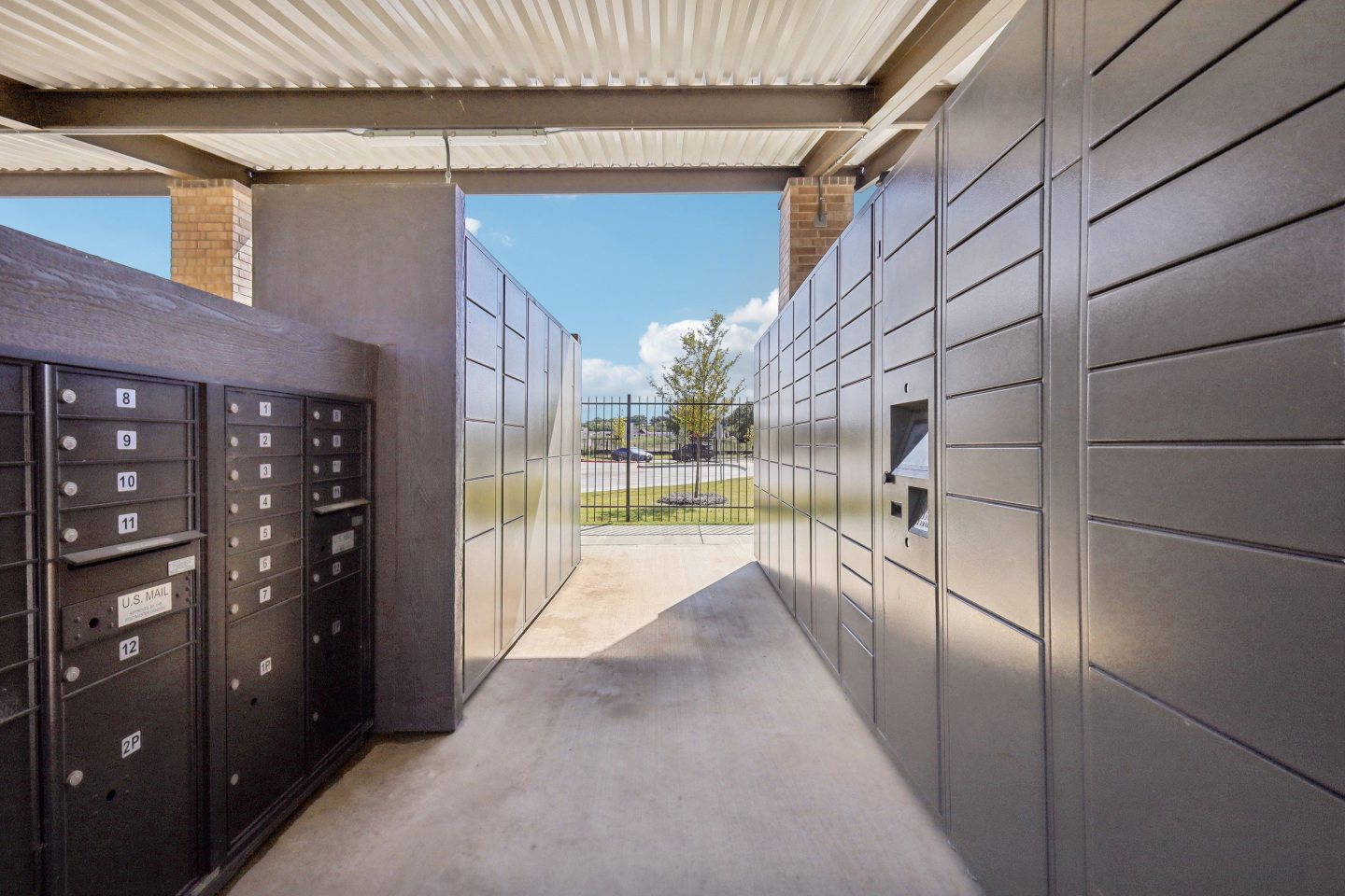 Live Oak Image 31