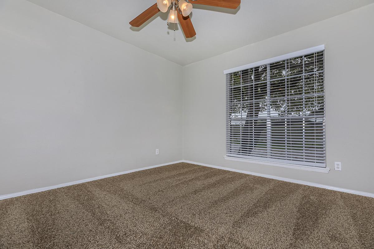 Sawgrass Image 69