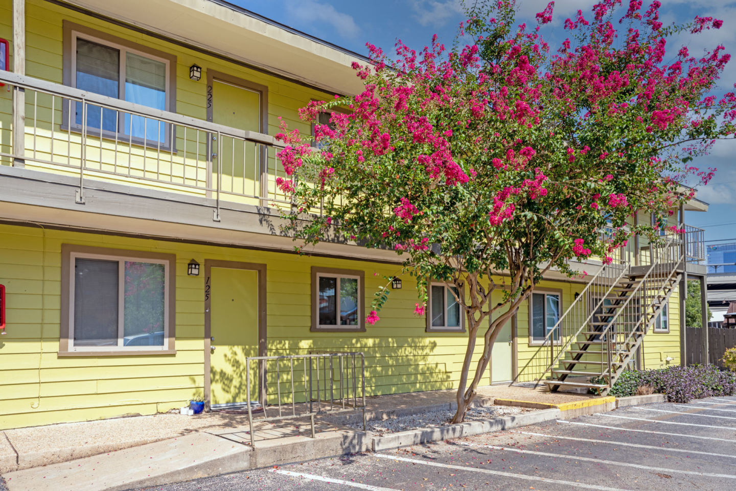 Willows Image 31