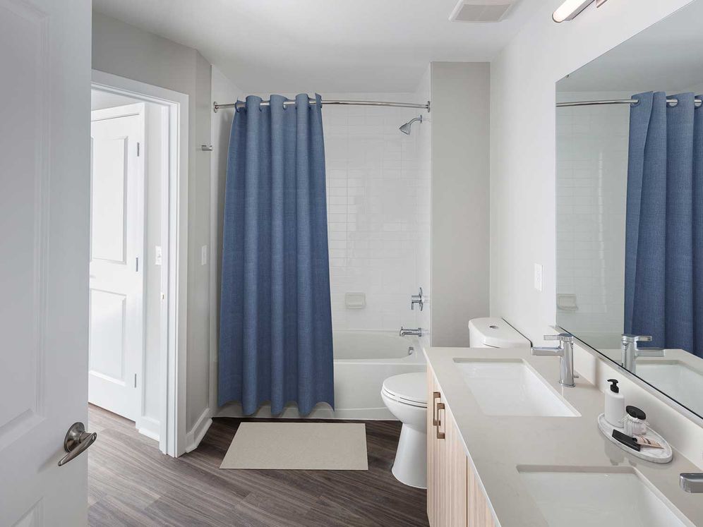 Avalon 555 President Image 16