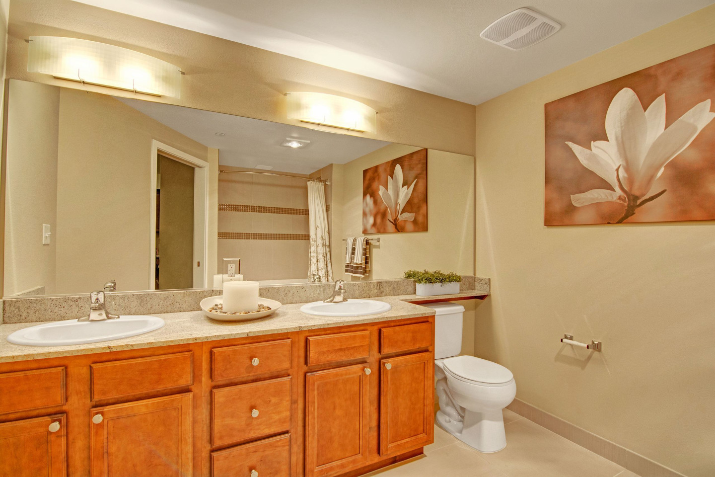 The Artiste Apartment Homes Image 6