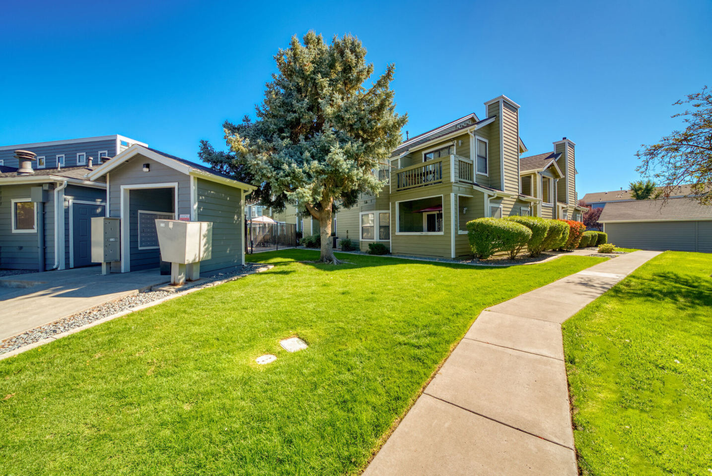 Bristle Pointe Image 6