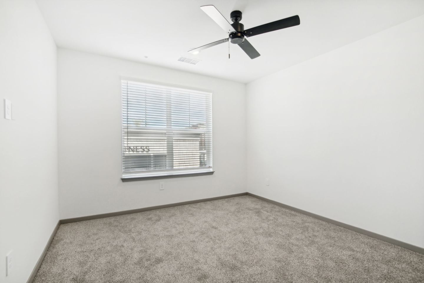 The Maddox Image 81