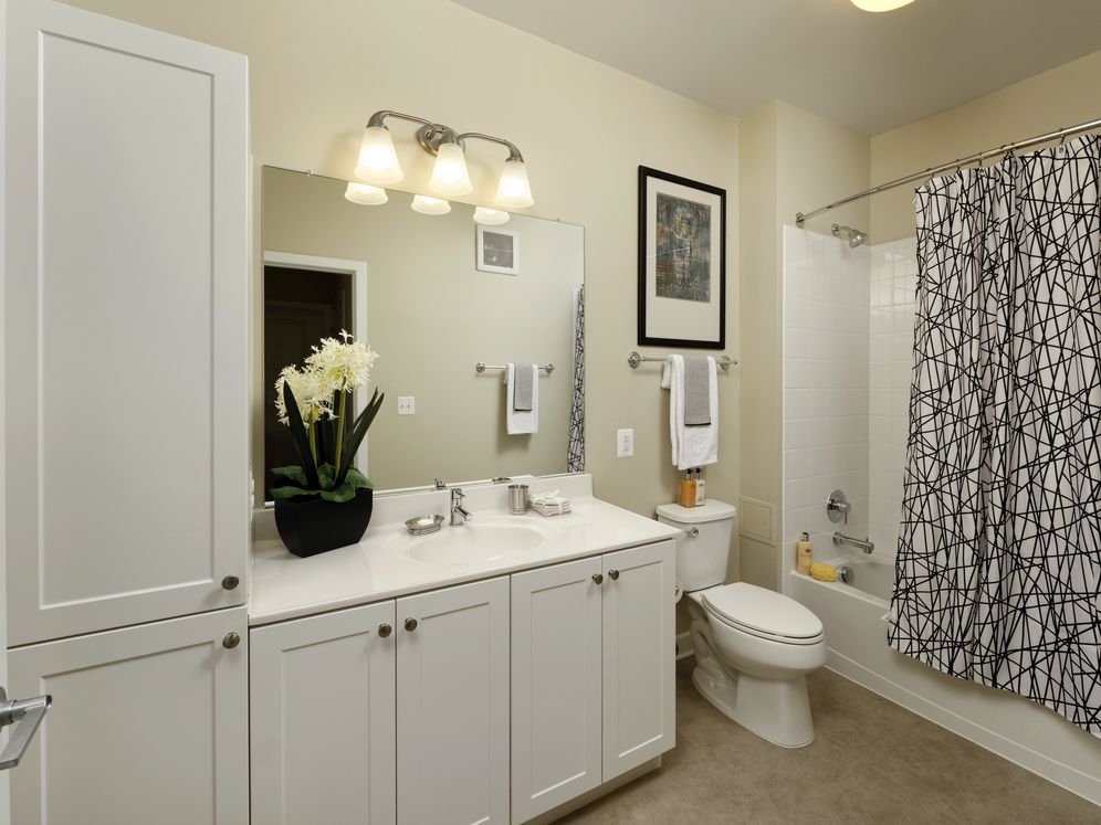 Avalon Laurel Image 15
