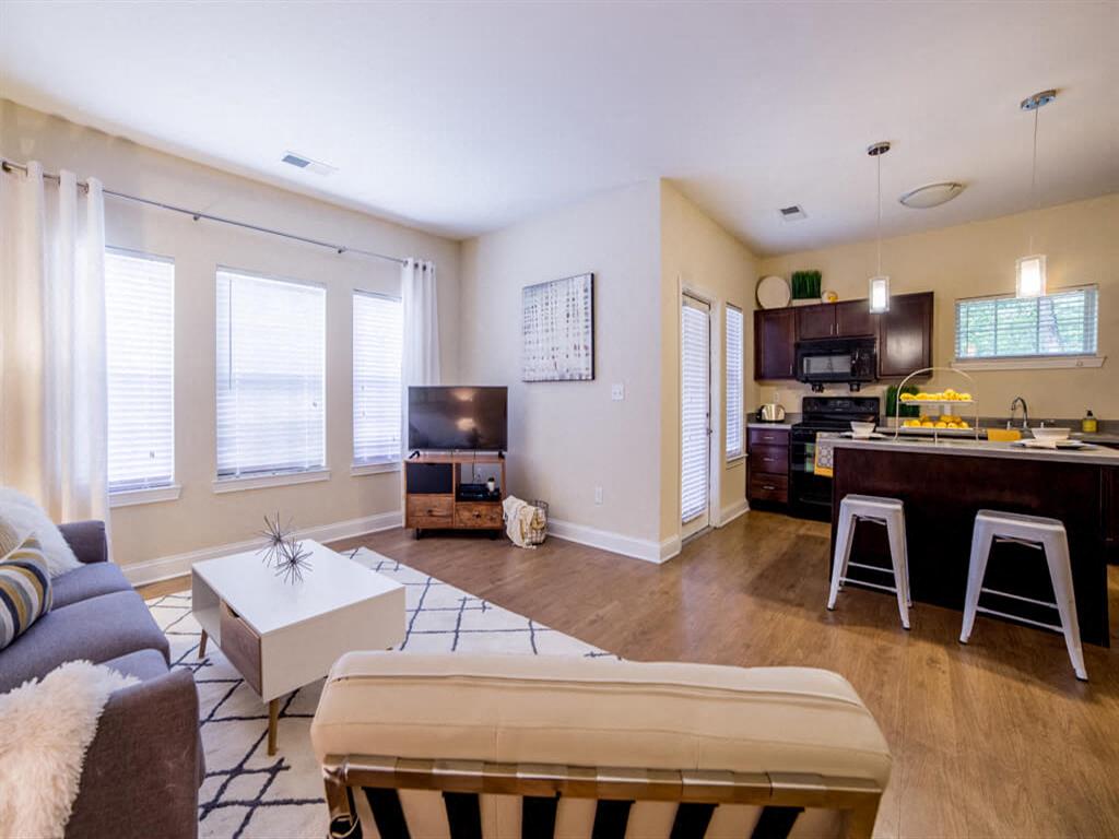 Monon Living Image 38