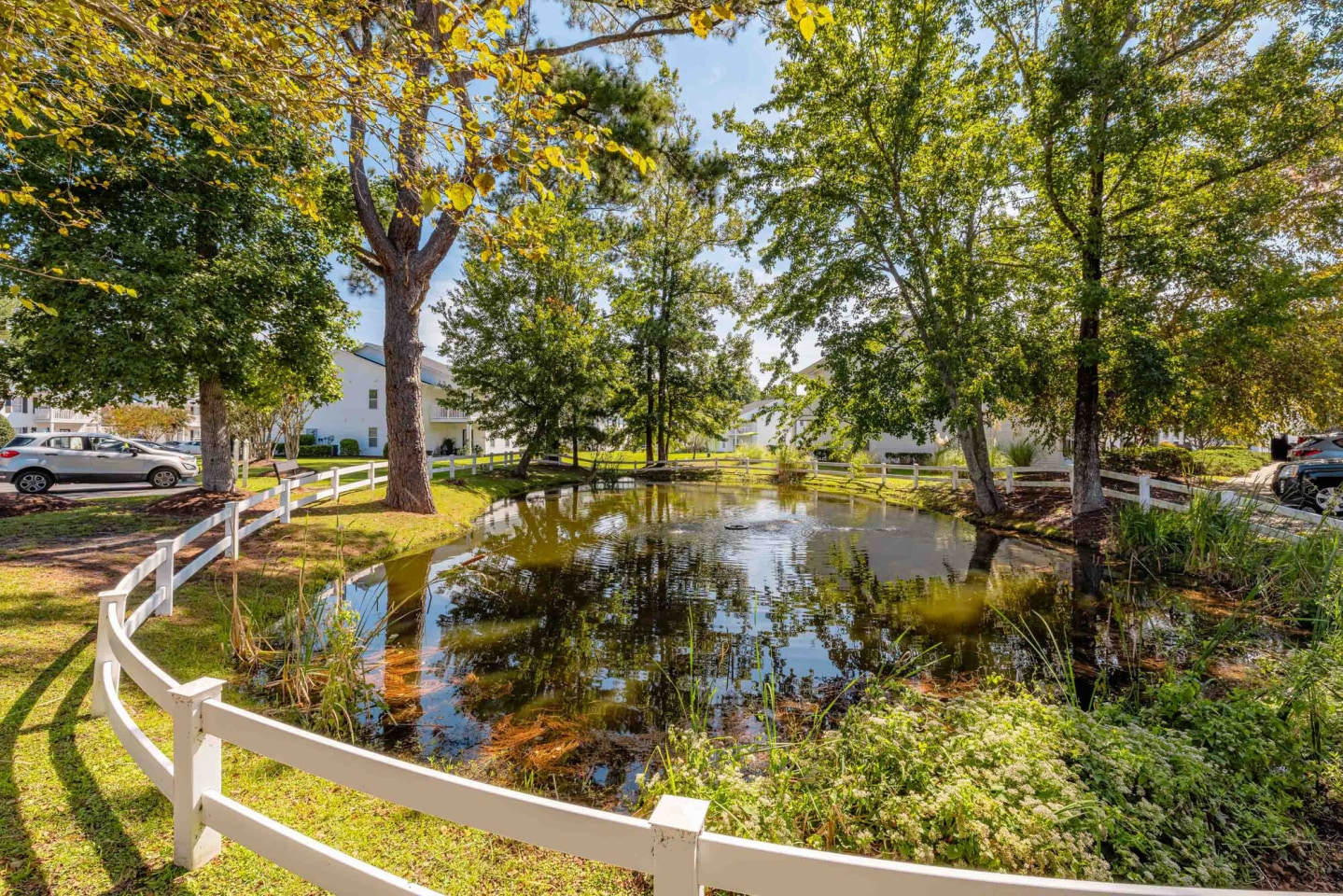 Birch Pond Image 22