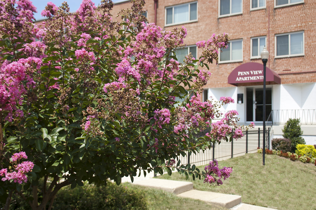 Penn View Image 11