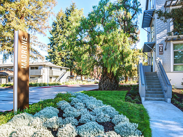 North Park Apartment Homes Image 36